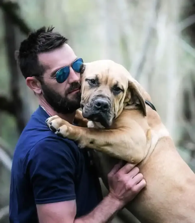 Topguard Kennels, Horsham