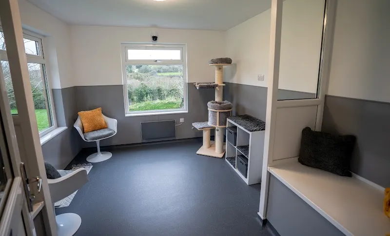 Kernow Cat Hotel - Luxury Cattery - Cattery in Cornwall