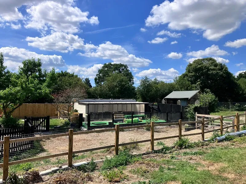 The Dogfather Bolney