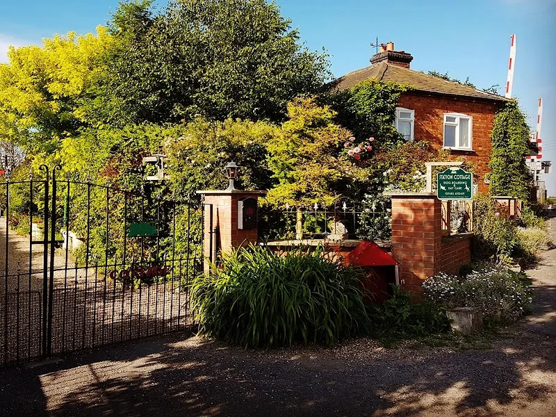 Station Cottage Dog Daycare