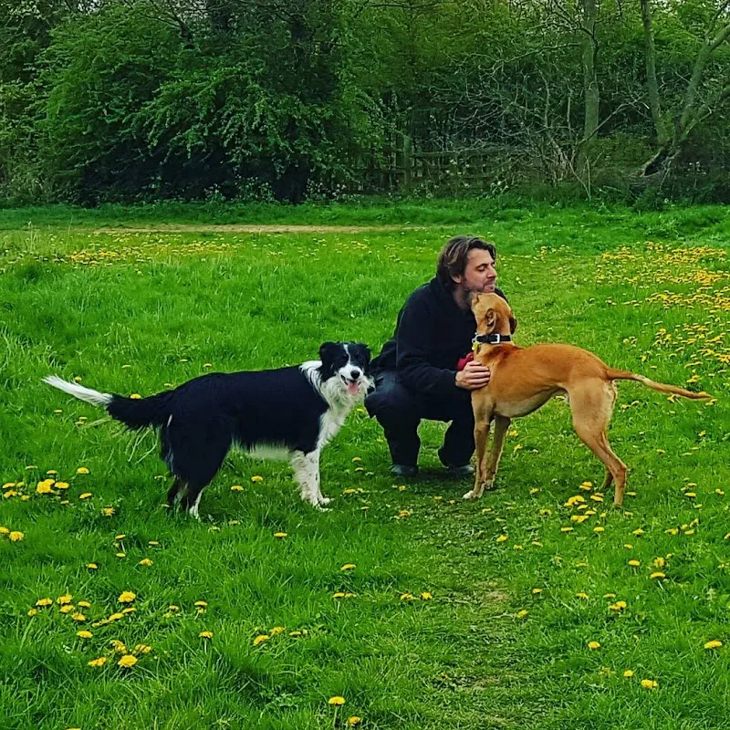Station Cottage Dog Daycare