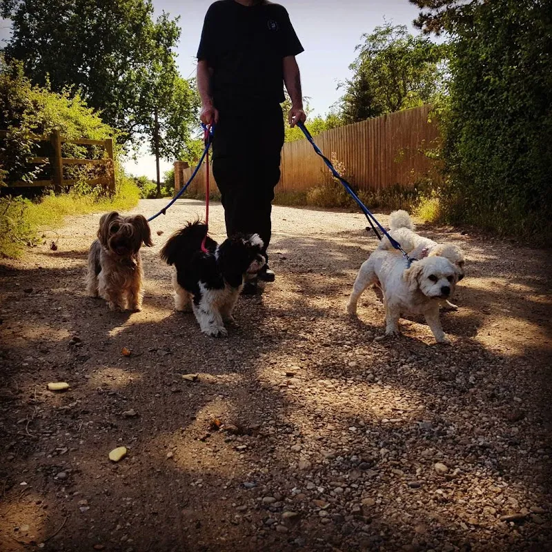 Station Cottage Dog Daycare