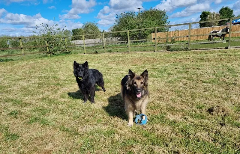 Rayvonley Boarding Kennels