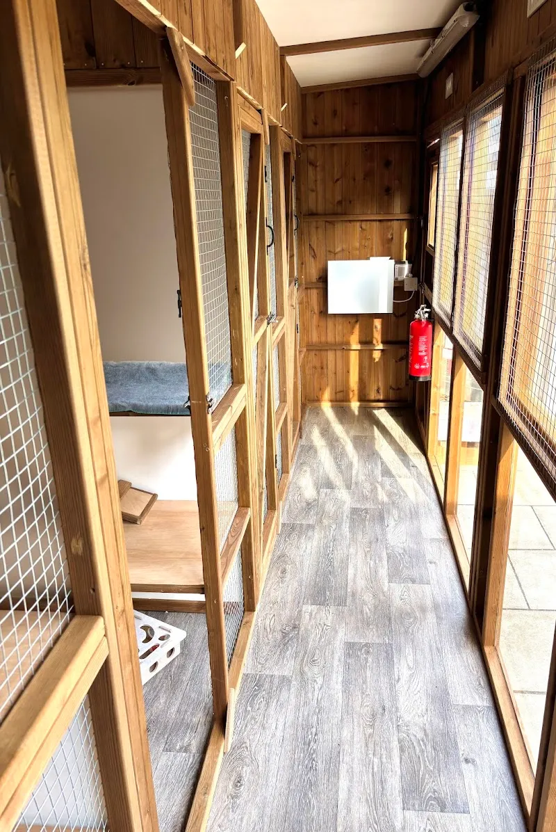 Feline Friends Cattery