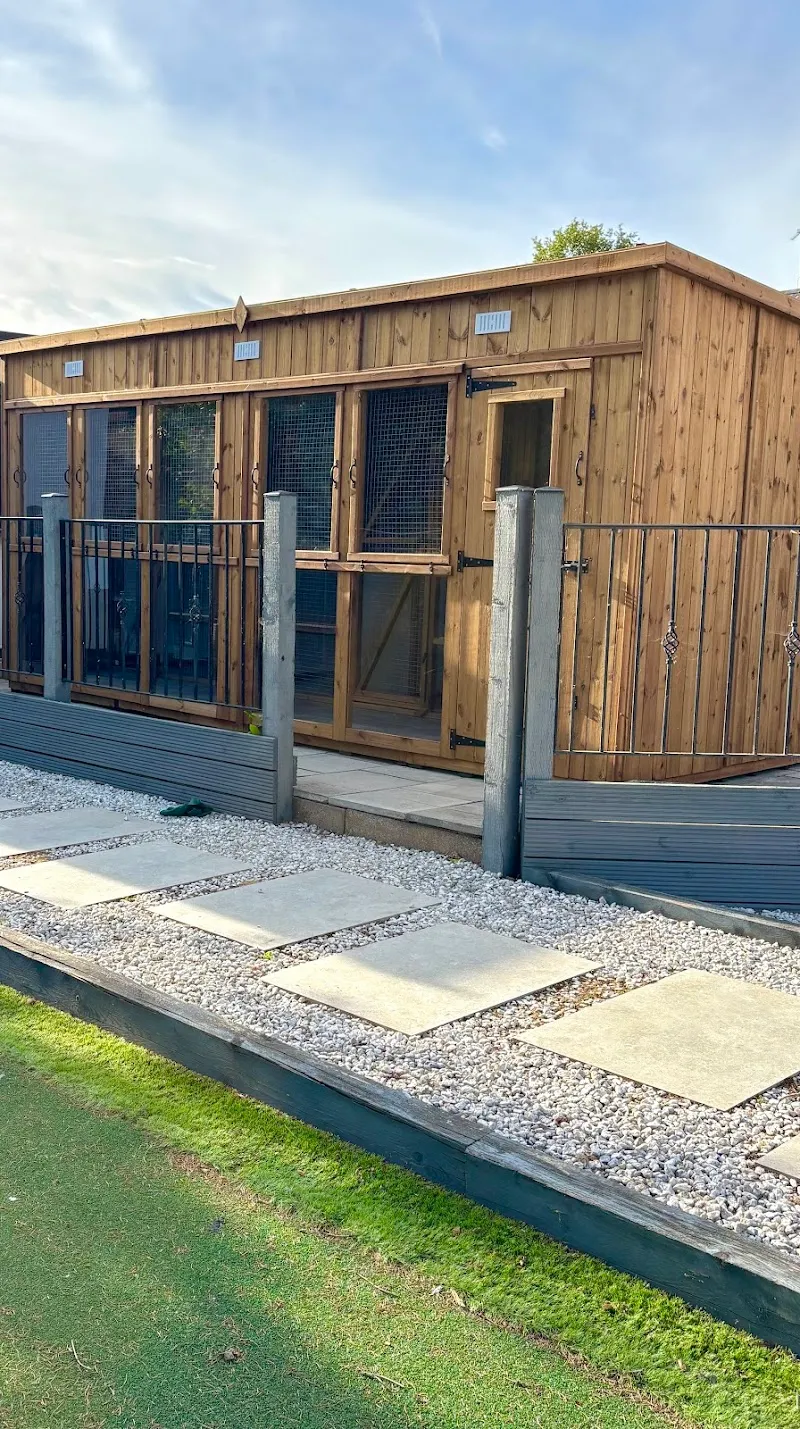 Feline Friends Cattery