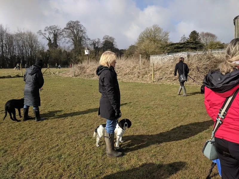 Scovellsway Training Kennels