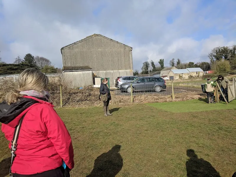 Scovellsway Training Kennels