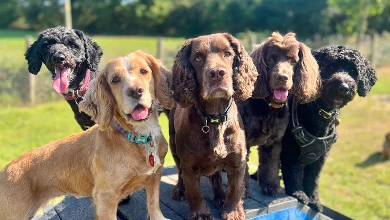 K9 Development Centre