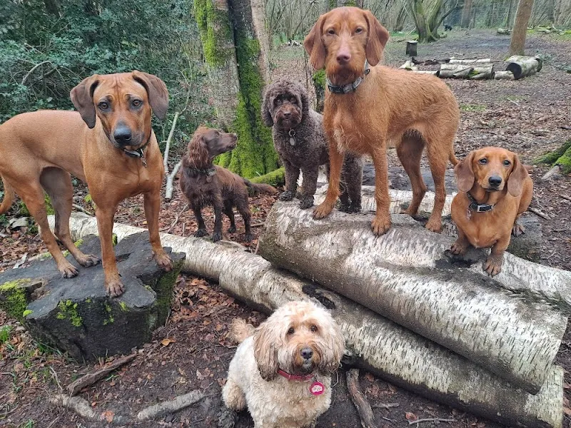 K9 Development Centre