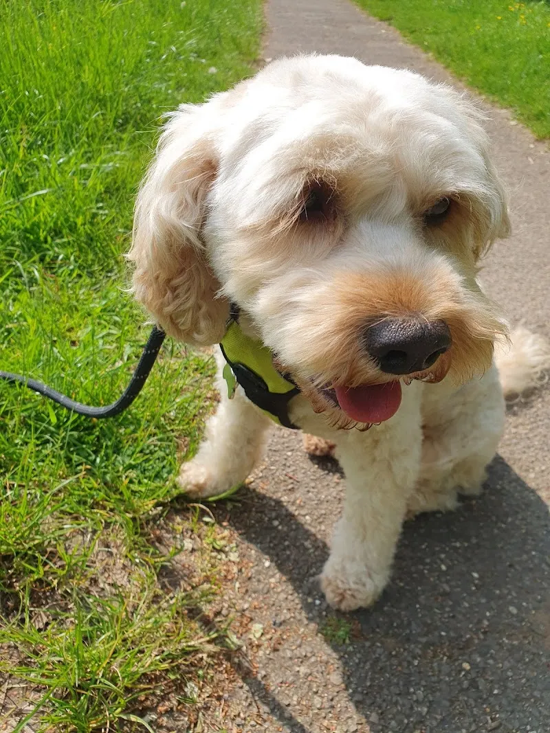 K9 Development Centre