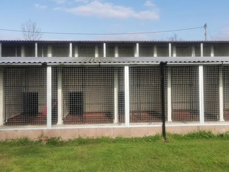 Hesket Kennels and Cattery