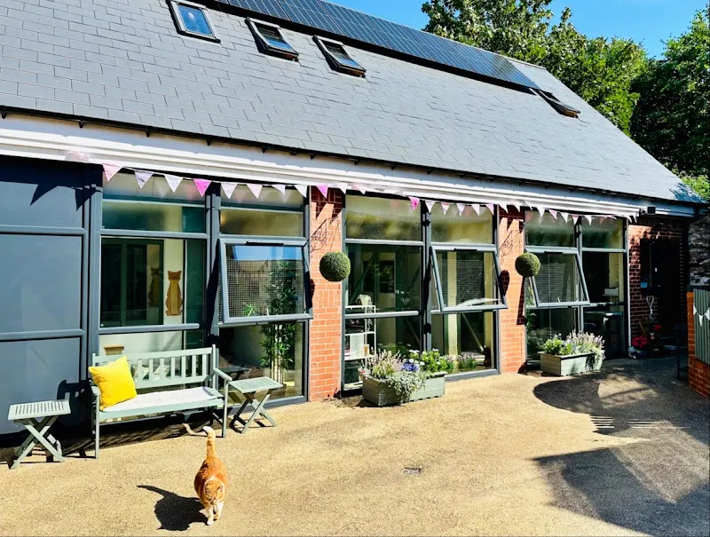 Hillsborough Cat Hotel