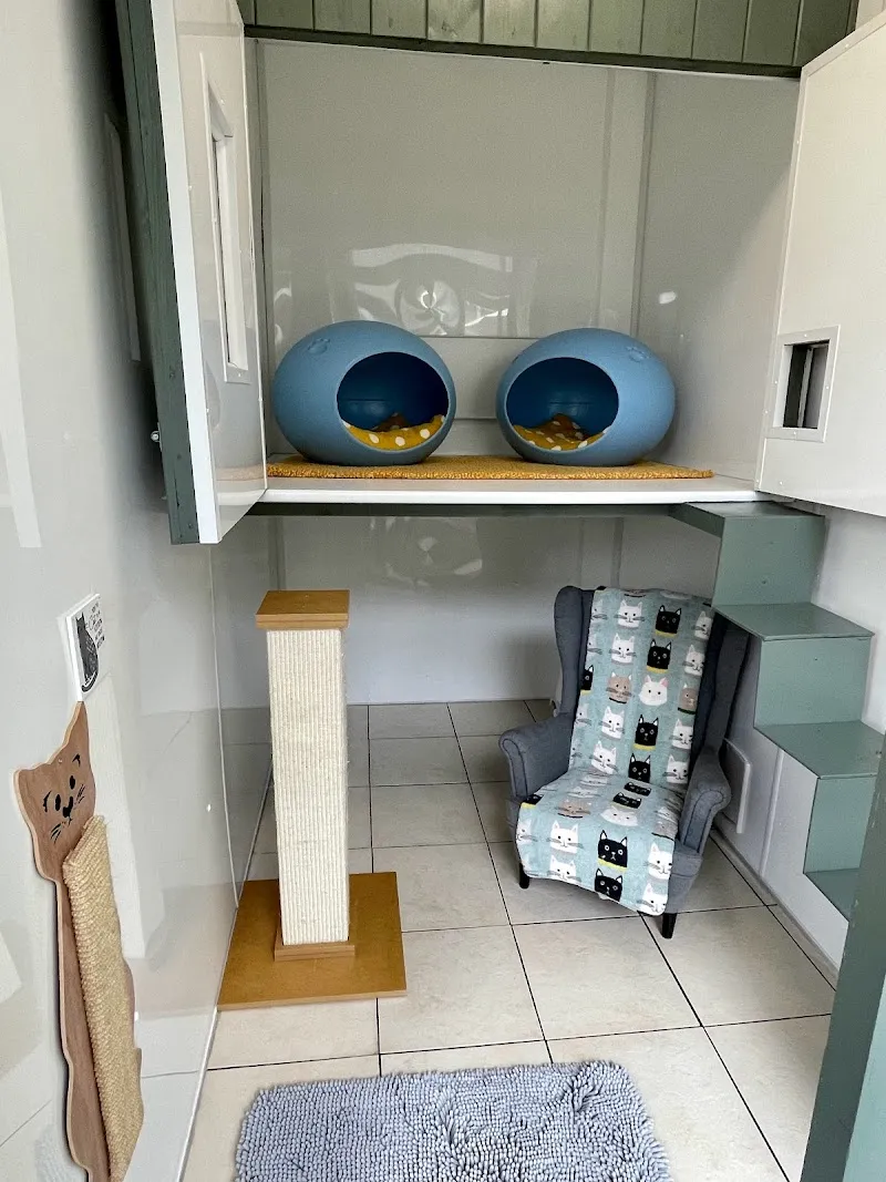 Hillsborough Cat Hotel