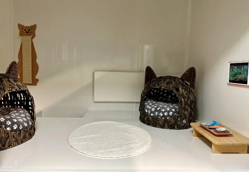 Hillsborough Cat Hotel