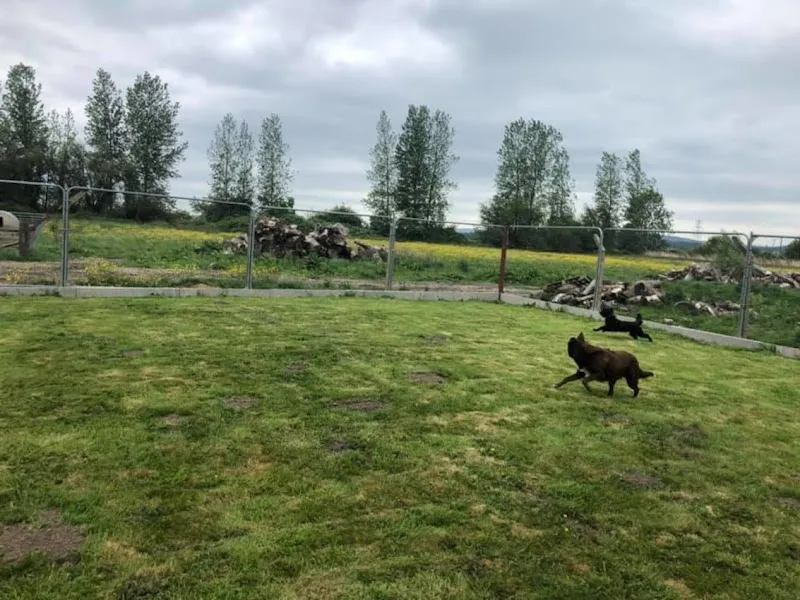 Home & Away Boarding Kennels & Cattery