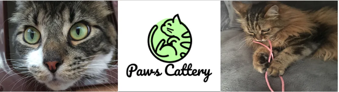 Paws Cattery, Belper - Photo 1 of 3