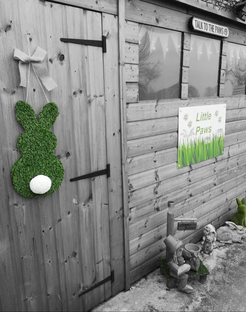 Little Paws Care