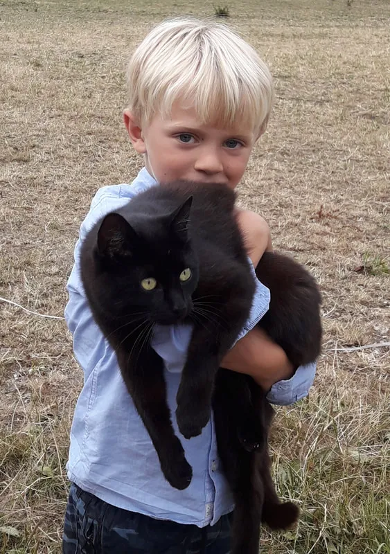 Stagenhoe Cat Hotel., Hitchin - Photo 2 of 2