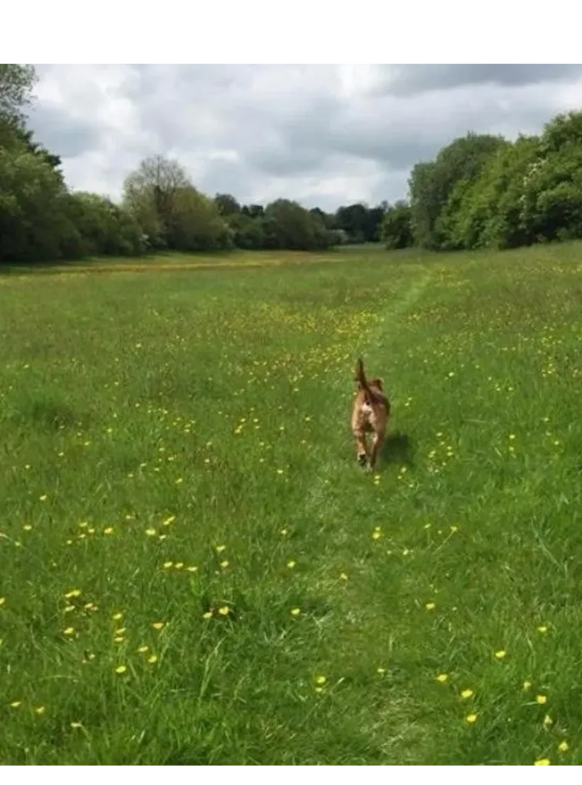 Barney’s Buddies Cheltenham, Cheltenham - Photo 2 of 2