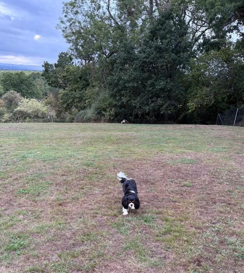 Barney’s Buddies Cheltenham