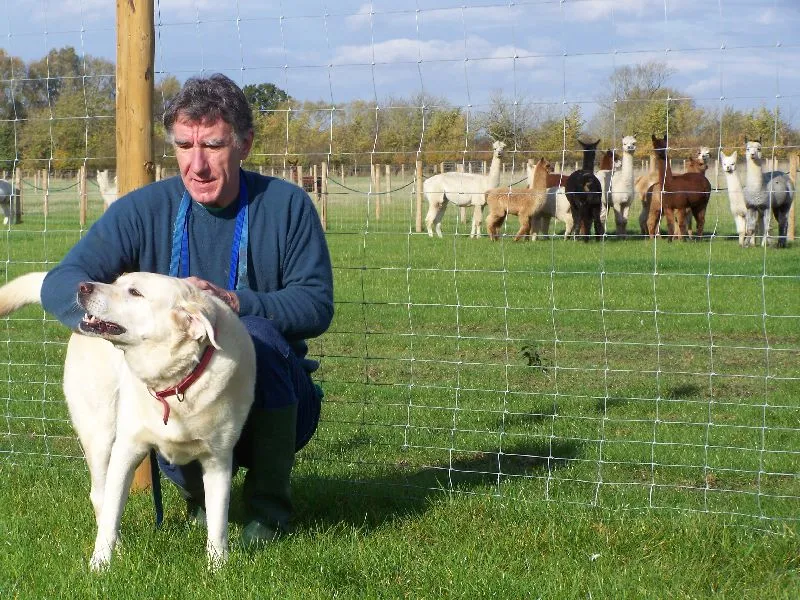 Whistley Canine Country Club - Photo 2