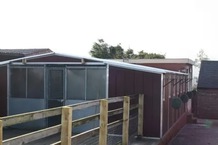 Mosside Kennels & Cattery, Keighley - Photo 2 of 4