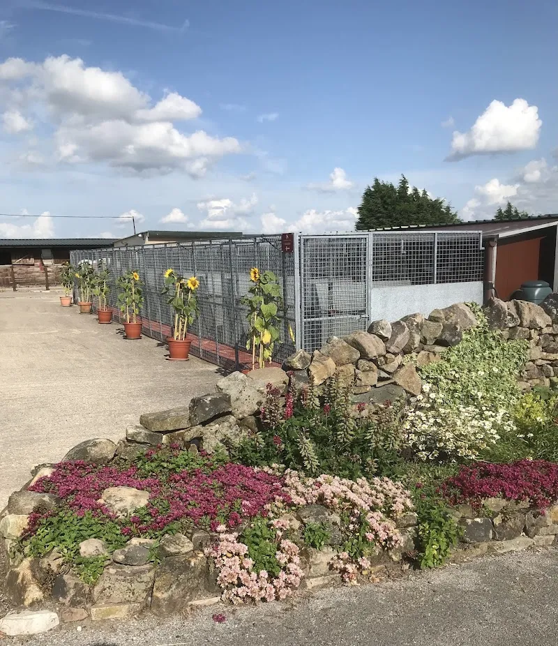 Mosside Kennels & Cattery