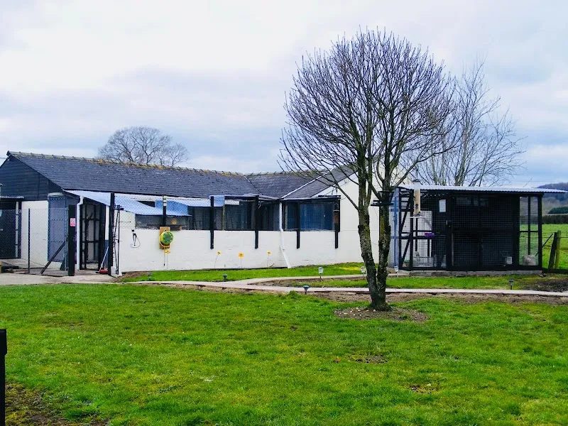 Iris's Animal Farm Cattery