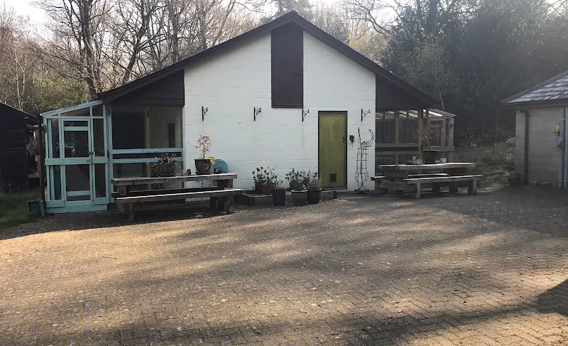 Cats Whiskers Boarding Cattery Tunbridge Wells