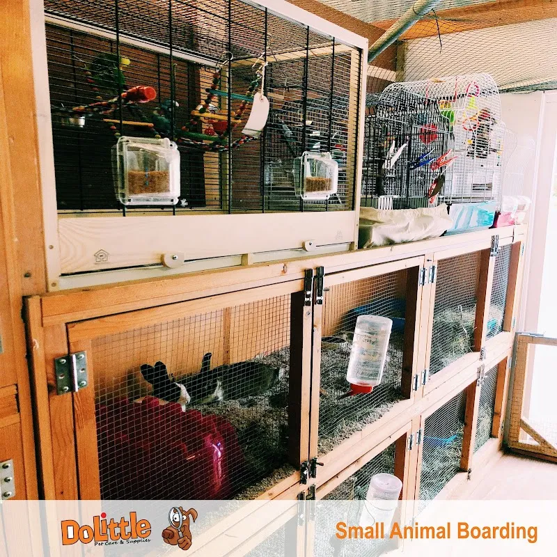 Small Animal Boarding Surrey