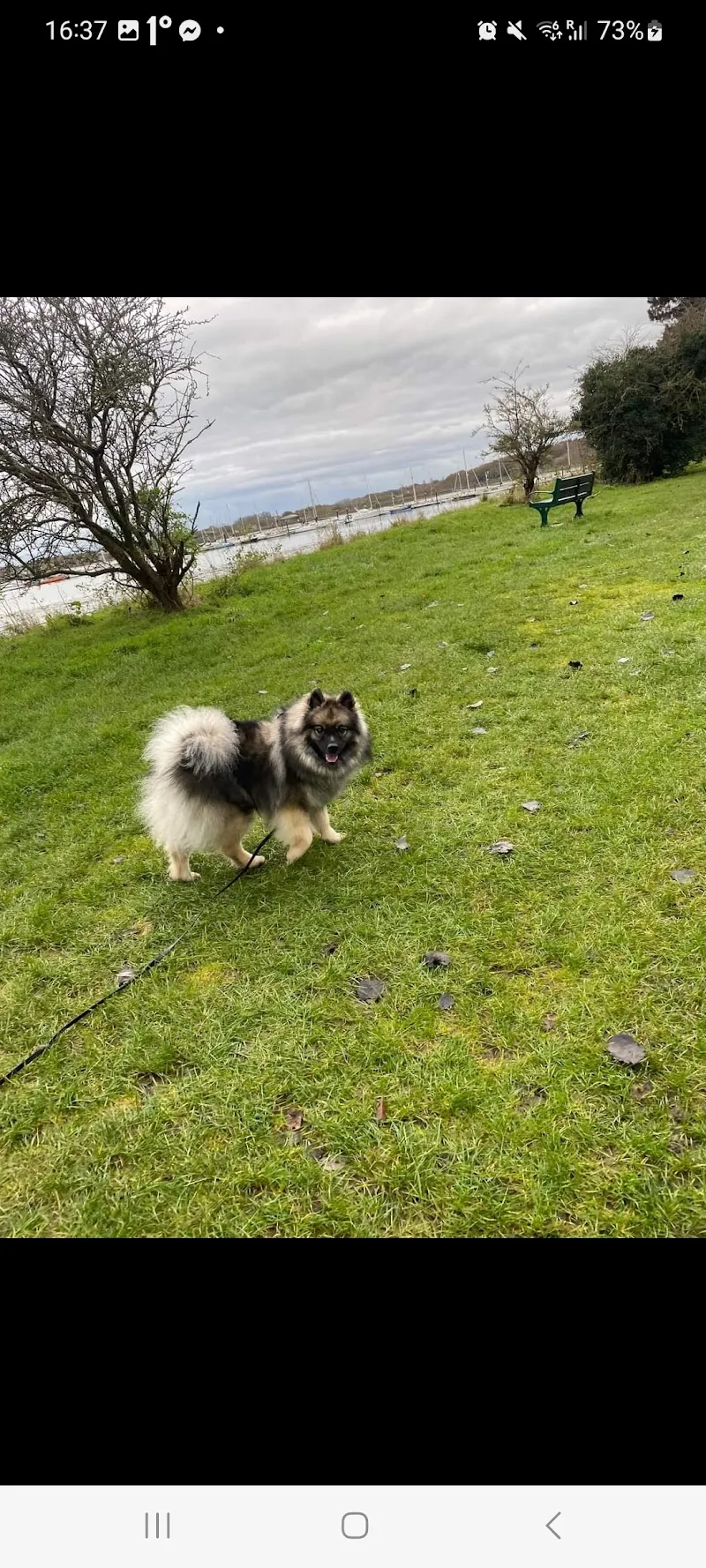 Doggie Holiday Homes Maria