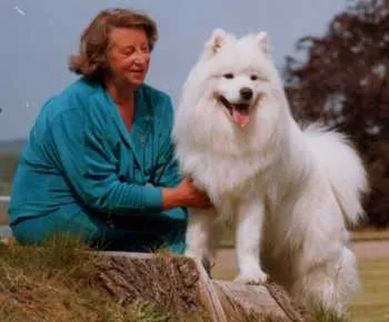 The Cat Whiskers At Annecy, Chorley - Photo 2 of 2