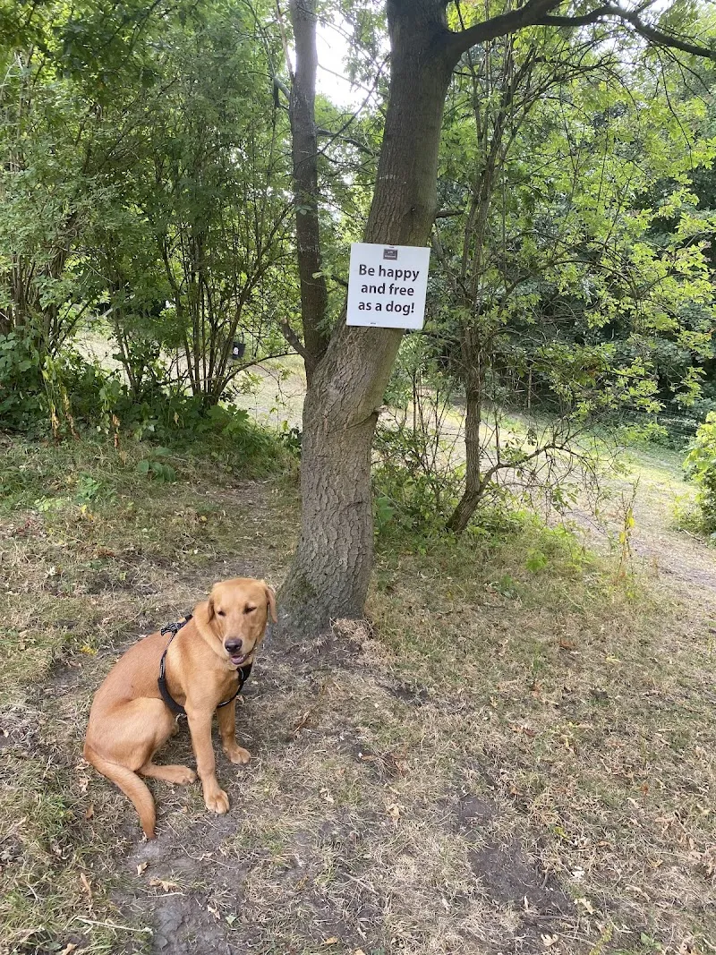 Hegiin's Private Dog Paddocks