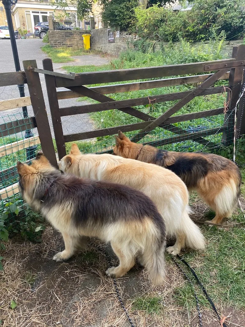 Hegiin's Private Dog Paddocks