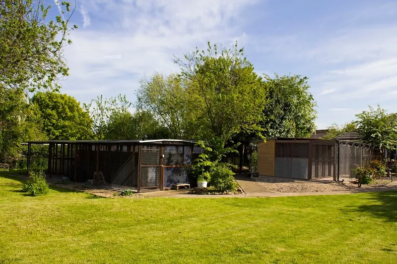 Queniborough Cattery