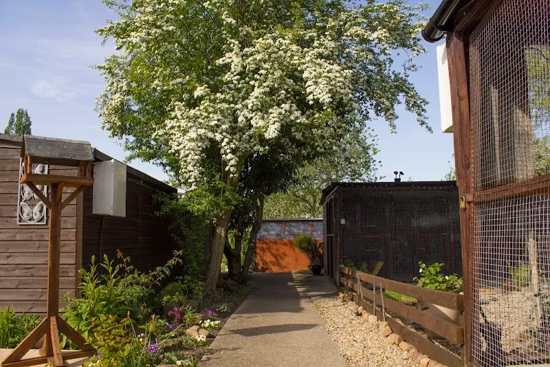 Queniborough Cattery