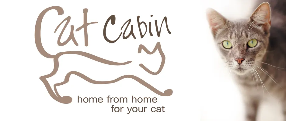 The Cat Cabin, Liskeard