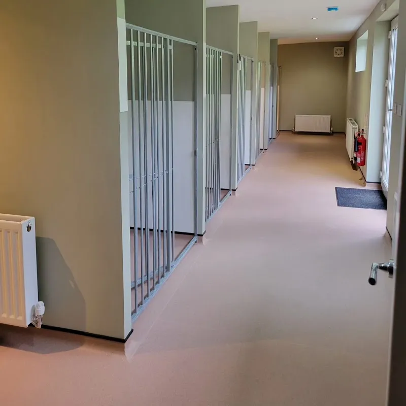 Springwood luxury dog boarding