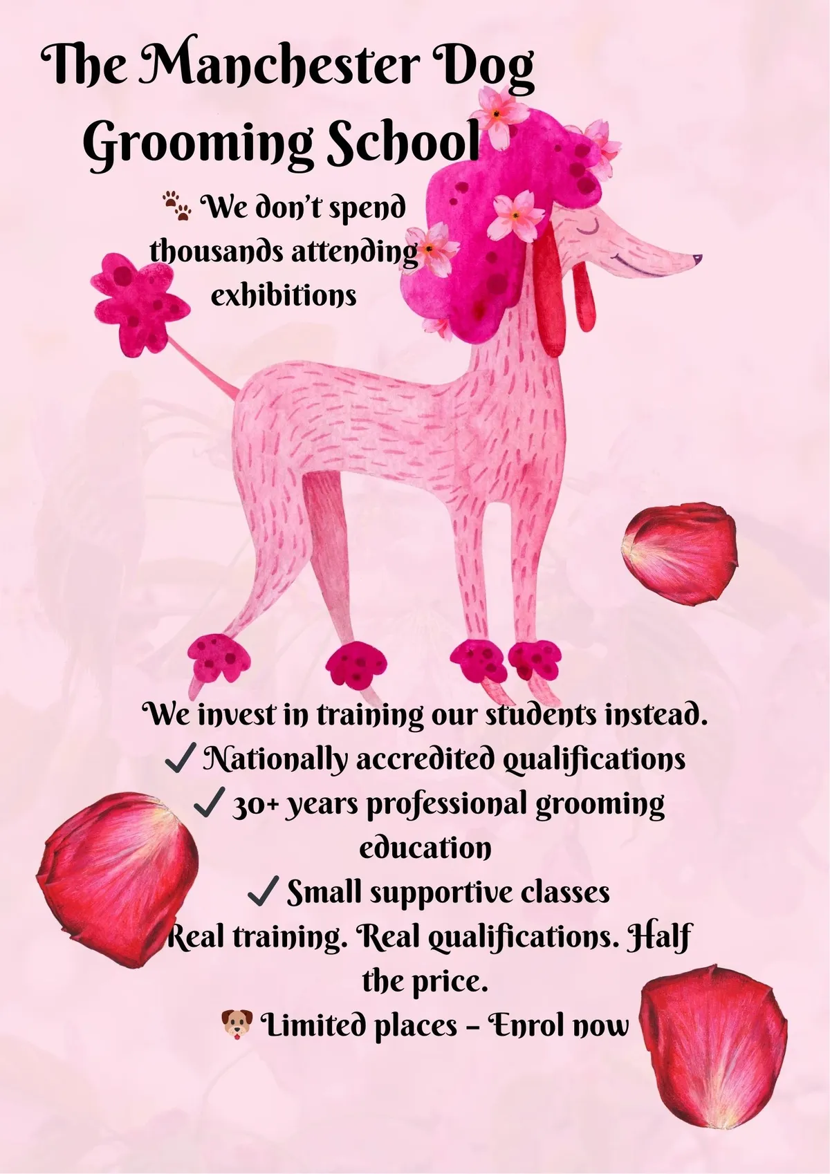 The Manchester Dog Grooming School - Image 1
