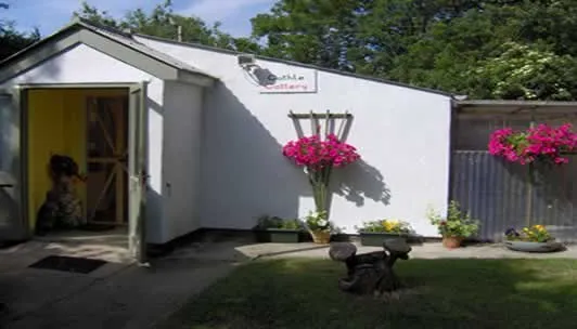 Llangaffo Cattery, Gaerwen - Photo 1 of 2