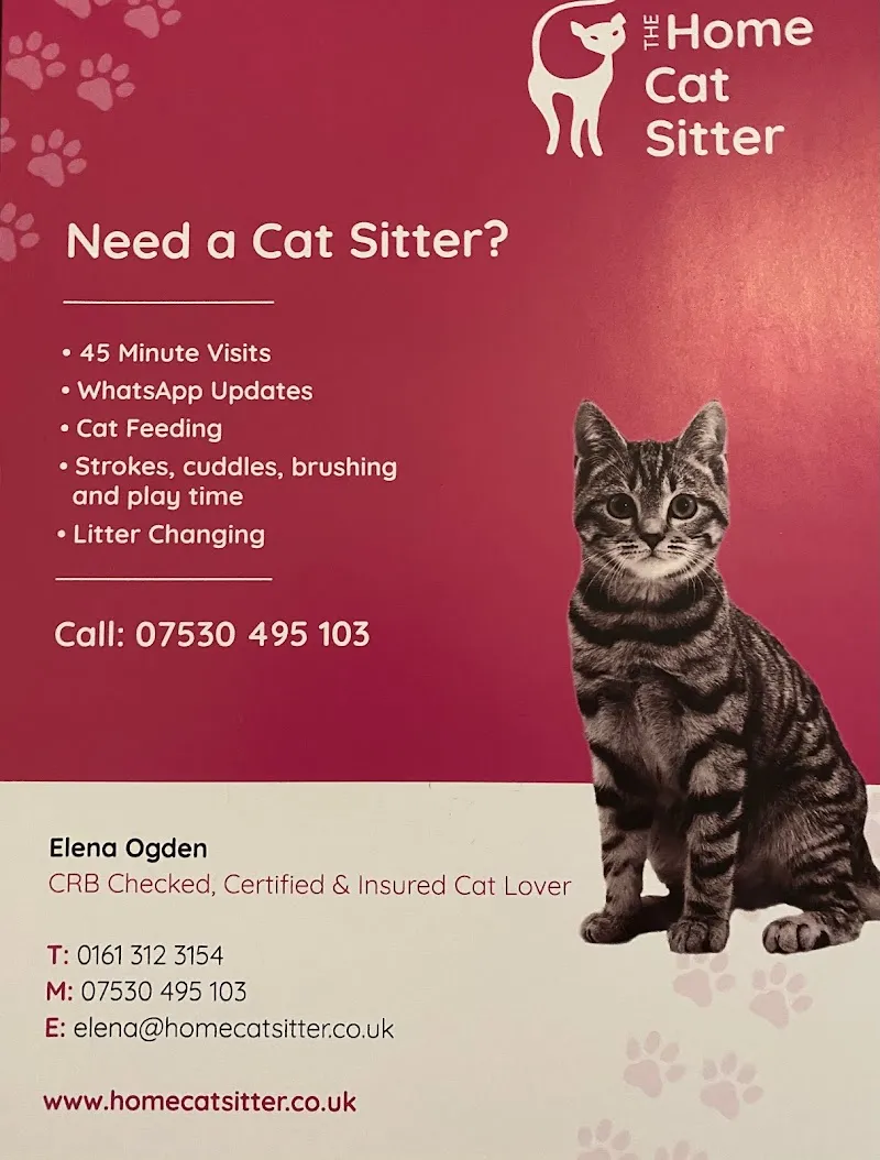 Home Cat Sitter Manchester