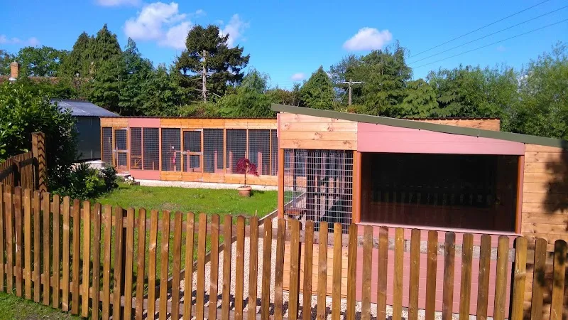 Meadow Lodge Cattery